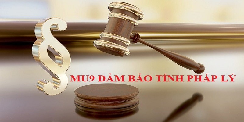 Tại sao thông tin MU9 có uy tín không xuất hiện?